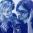 The Common Linnets