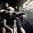 Evergreen Terrace