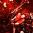 Mercury Rev